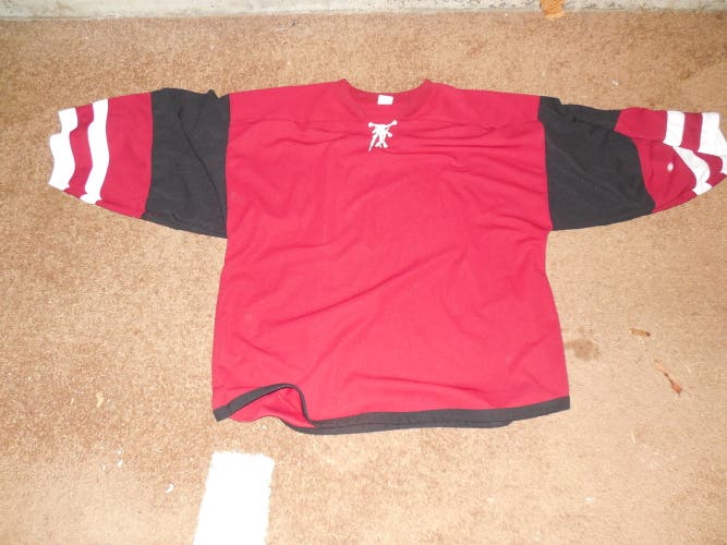 Red Adult Men's Phoenix Coyotes Home  Used Goalie Cut Jersey