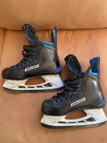 Senior Bauer Regular Width  Nexus 1N Hockey Skates
