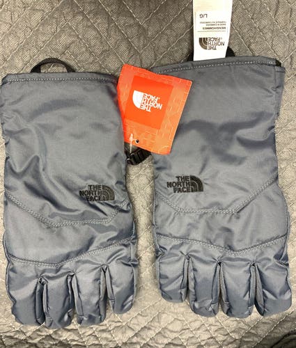The North Face Men’s Dryvent Gloves Turbulence Size Large