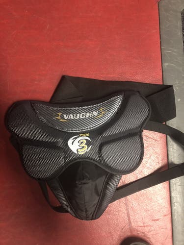 Vaughn goalie cup