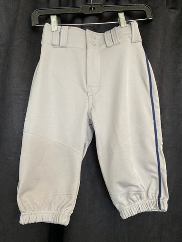 Alleson Grey Baseball Pants with Blue Pipe. Youth Small