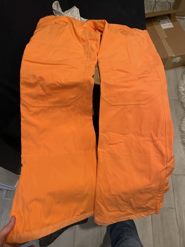 Dakine Inverness Pants - Women’s LG