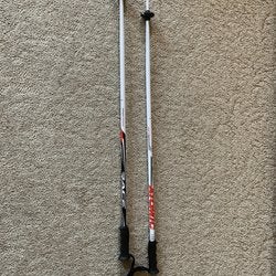 Atomic Aerospeed 2 Ski Poles (100cm/40”)