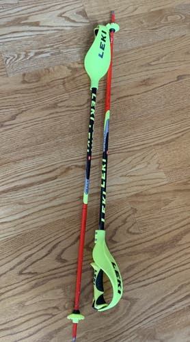 Leki World Cup Lite SL Ski Poles with Hand Guards - 40in (100cm)