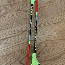 Leki World Cup Lite SL Ski Poles with Hand Guards - 40in (100cm)