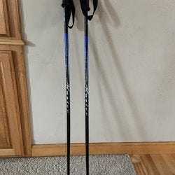 Scott Master Ski Poles (120cm/48”)