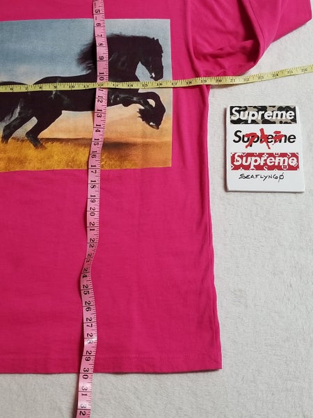 Supreme FW14 L/S Stallion Tee Size M Front Logo/Back Graphic T