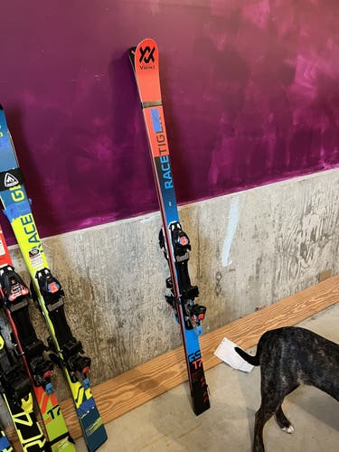 Used 2019 Racing With Bindings Max Din 10 Racetiger GS Skis
