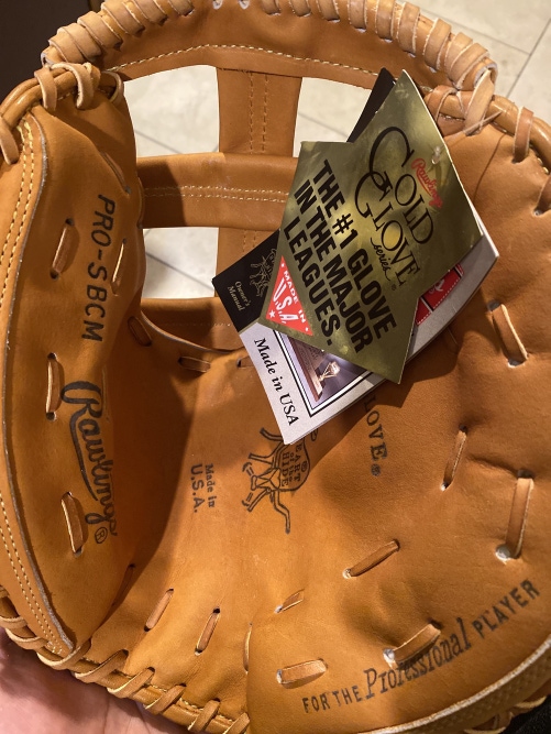 Rawlings Heart of the Hide Horween Catchers Glove