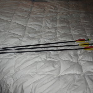 Archery Arrows x 3