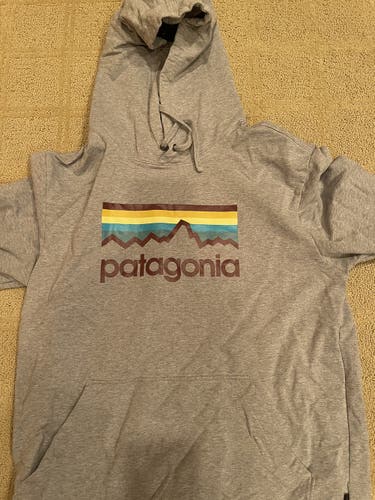 Patagonia Hoodie Gray