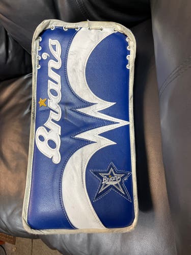 Brians  Beast Adult Blocker