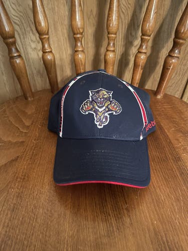 Blue Florida Panthers Hat
