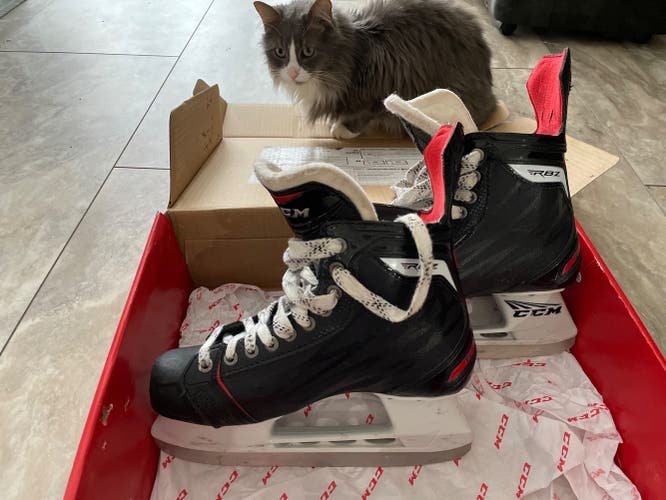 Senior CCM Regular Width Size 6 RBZ 60 Hockey Skates