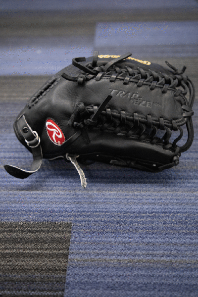 PRO Preferred Black New Rawlings Right Hand Throw Outfield Heart of the Hide Baseball Glove 12.75"