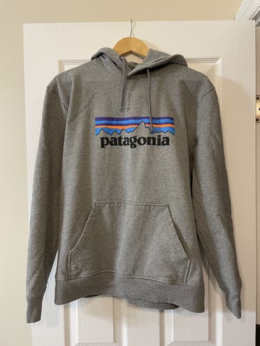Gray Adult Men's Used Large Patagonia Sweatshirt
