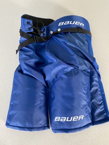Bauer Vapor X60 Hockey Pants Senior Small