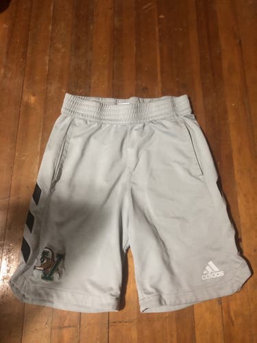 Gray University Of Vermont Adidas Shorts