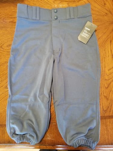 Gray Youth Unisex New Large Champro Pants