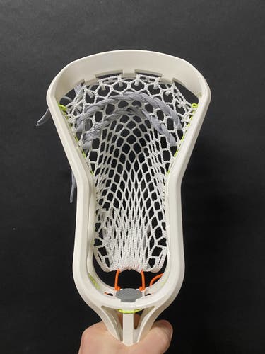 LE CLONE head with 5L NETT