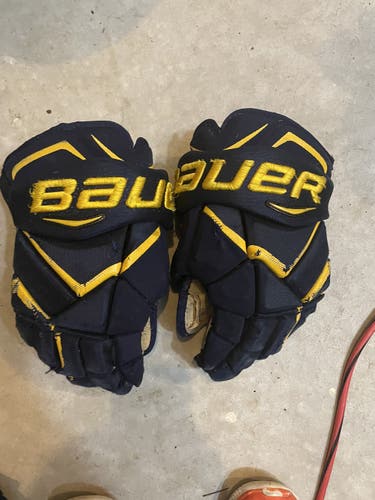 Bauer Pro Stock 1X Pro Gloves