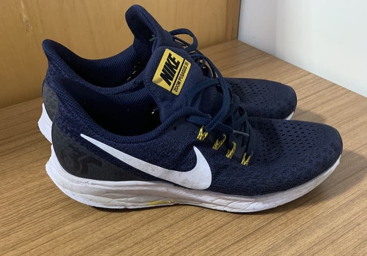 Nike Zoom Pegasus 35