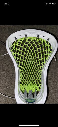 Tactik And Frequency Bundle