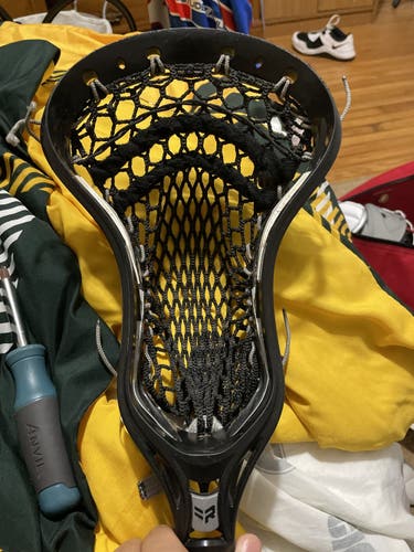 Warrior rabil Head