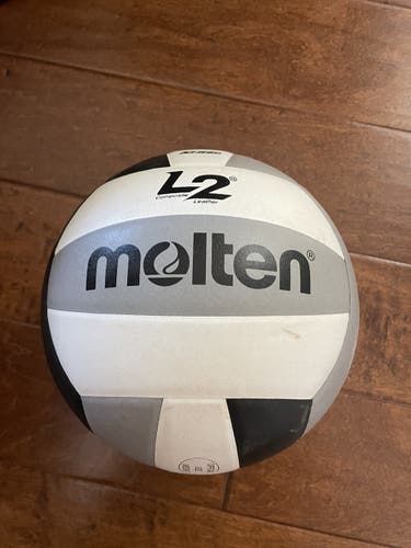 Molten L2 Composite Leather Volleyball
