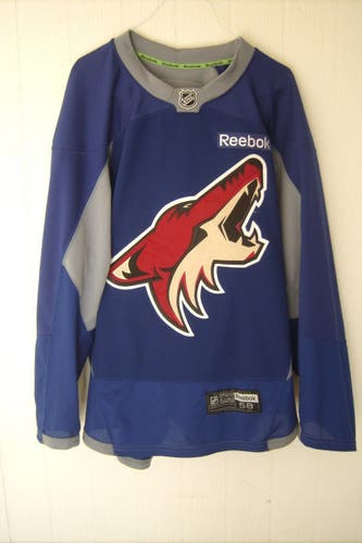 Phoenix Coyotes non goalie-cut worn blue Reebok practice jersey size 58 from 2013-2017 seasons
