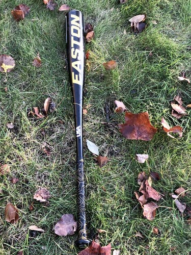 Bat Used 2018 Easton Alloy Beast Pro (-8) 24 oz 32"