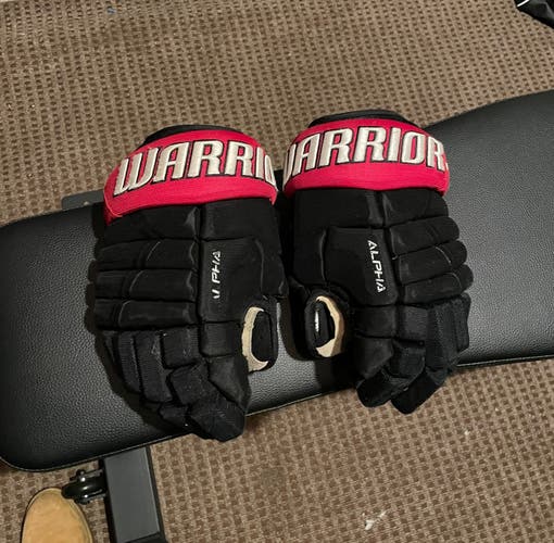 Warrior Evo Pro Gloves
