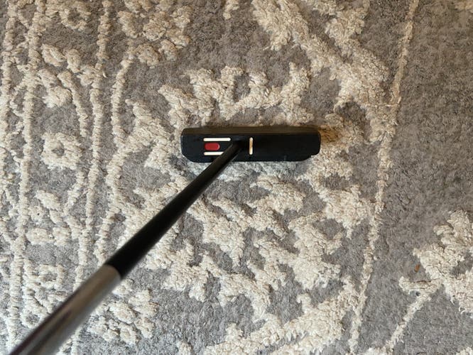See More  34" FGP Putter