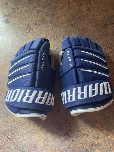 Blue Youth Warrior 10" Gloves