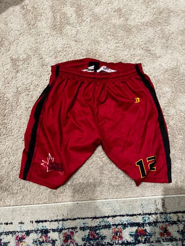 Belgium U-19 World Team Shorts