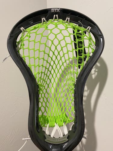 New Strung Stallion Omega Head