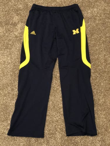 Medium Adidas Michigan pants
