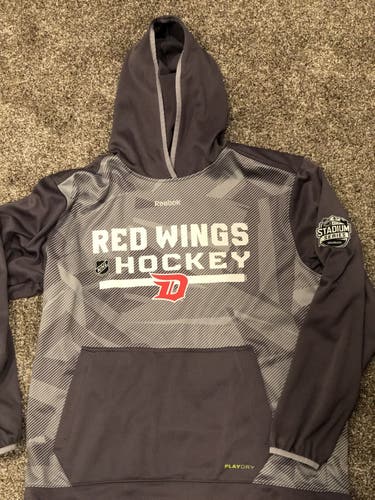 Large Detroit Red Wings Stadium Series