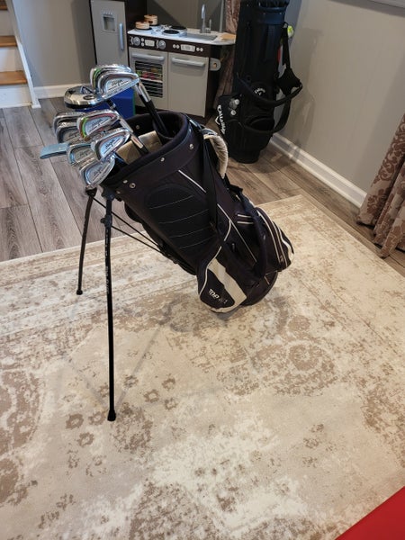 Stand Bag + Irons + Hybrid (Full Set) Men's Right Handed Ben Hogan 10 Pieces