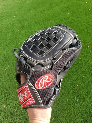 New Rawlings Heart of the Hide 12" Pro Mesh