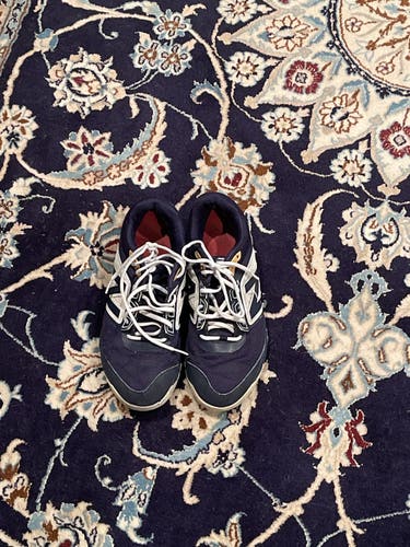 Blue Men's 10.5 Turf Shoes