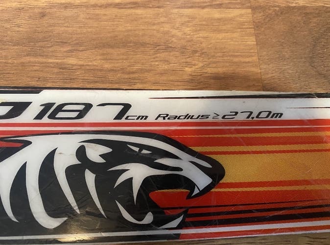 Alpine Touring Without Bindings Racetiger GS Skis