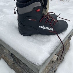 Classic 43 Cross Country Ski Boots Used Alpina NNN