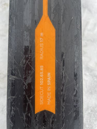 Skis Used Dynastar Speed Team GS Without Bindings