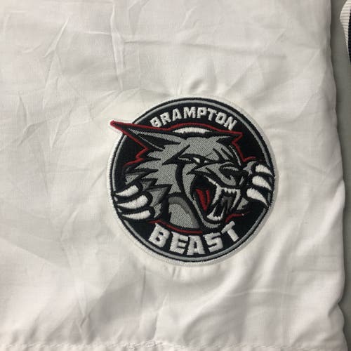 Brampton Beast ECHL “bus used” Pillow cases