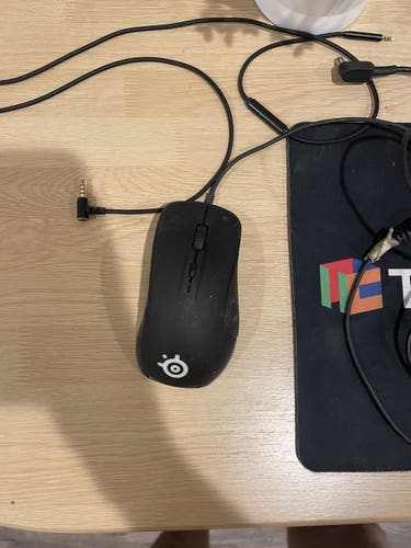 Steel Series Rival 300 Gaming Mouse