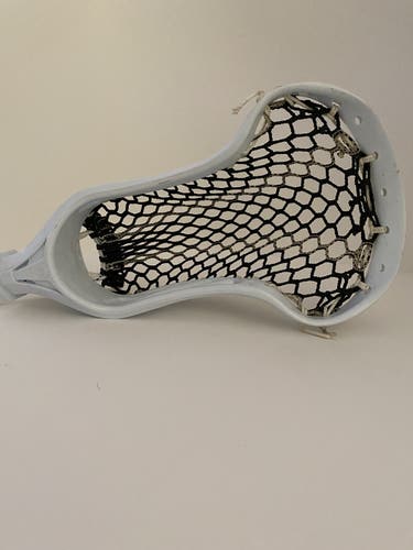 FOGO Tribe7 Sting7