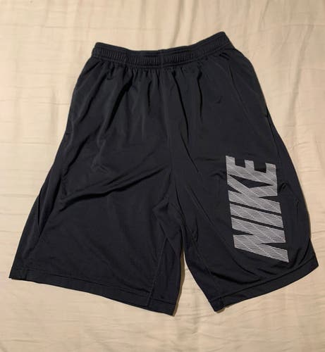 Gray Nike Dri-Fit Shorts (M)