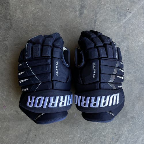 Warrior 15" Alpha DX Pro Gloves