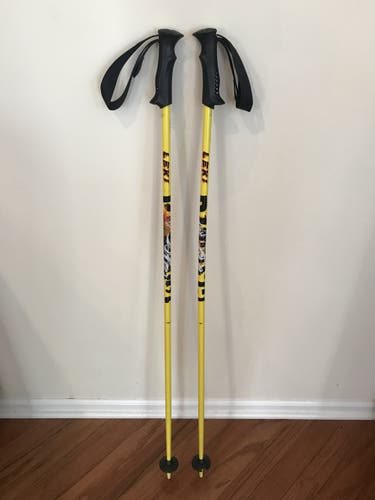 Ski Poles Used 42in (105cm) Leki All Mountain TS 4.5